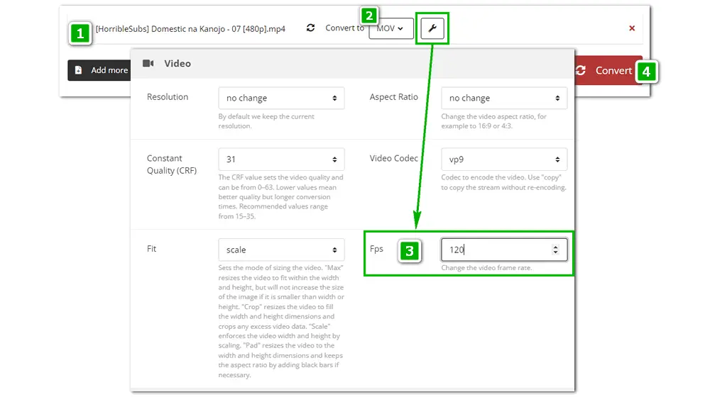 Convert Video to 120fps