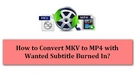 Convert MKV to MP4 with Subtitles