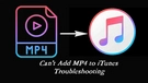 MP4 to iTunes