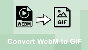 Convert WebM to GIF