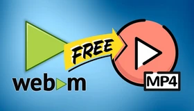 Convert WebM to MP4