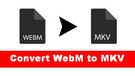 Convert WebM to MKV