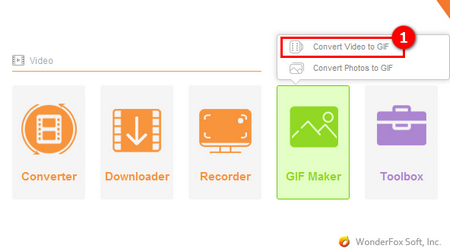 Video to GIF Converter