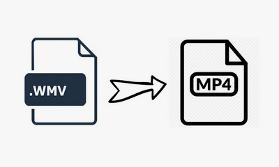 Professional WMV to MP4 Converter