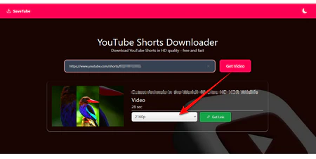 Convert YouTube to MP4 with Online Tools