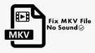 MKV File No Sound
