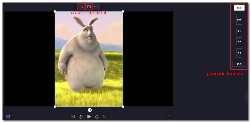 Crop Video as Needed