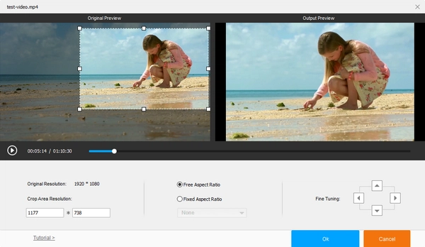 WonderFox Free HD Video Converter Factory 