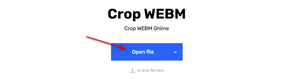 Online WebM Cropper