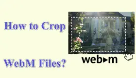Crop WebM