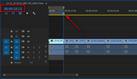 Trim Video Premiere Pro