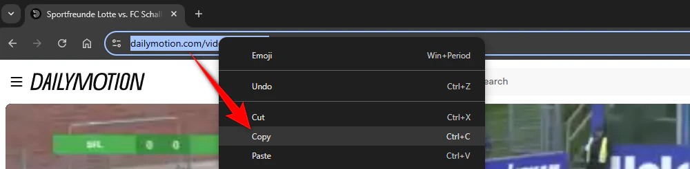 Copy the Dailymotion Video URL