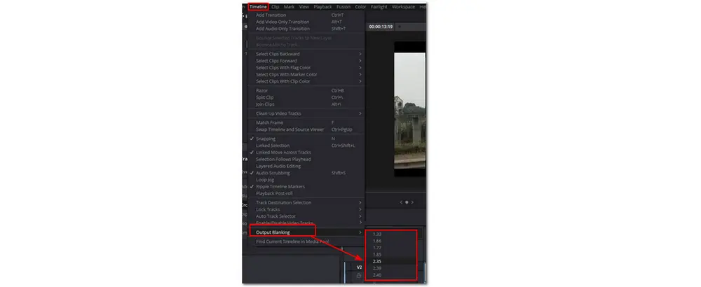 How to Crop a Video on Davinci Resolve