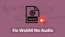 WebM no Audio