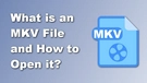 MKV File