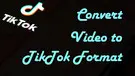 Convert Video to TikTok Format