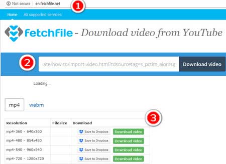 download embedded video