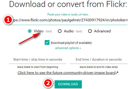 Online Downloading Flickr Video