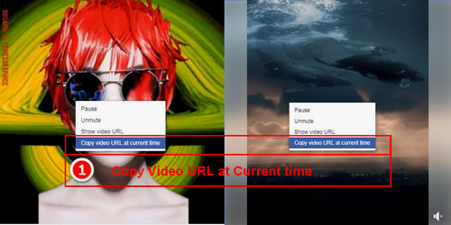 Copy the video or GIF URLs