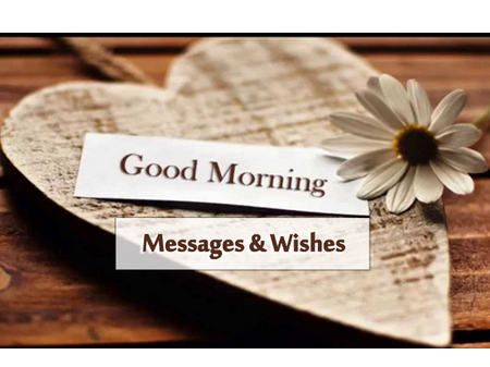 Download Good Morning Videos To Start Your Morning Greetings