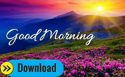 Download Good Morning Videos To Start Your Morning Greetings