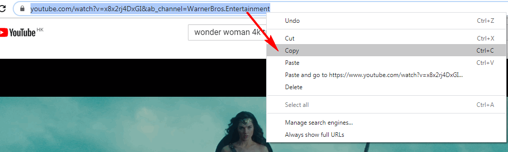 Copy URL