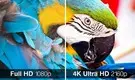 Download 4K Video