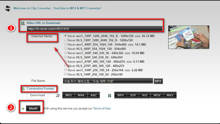 online Naver videos downloading