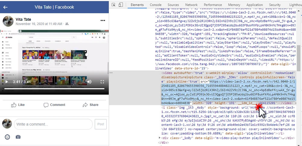 Direct private Facebook video downloader