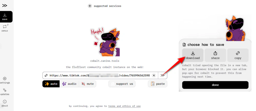 Online TikTok Downloader