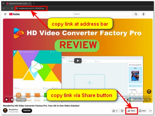 Copy the Video URL