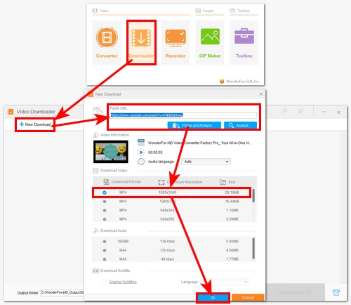 Analyze the URL and Select the Download Option