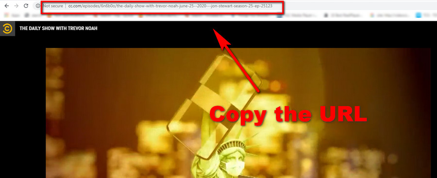 Copy the URL of video desired