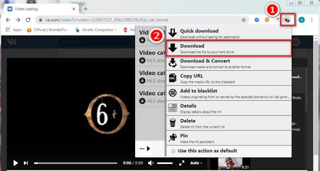 Open One VK Video and Begin the VK Video Download Process