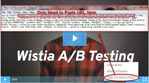 Copy Wistia Video Download URL