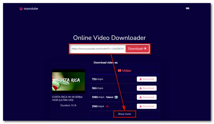 Download YouTube Video without Audio Directly
