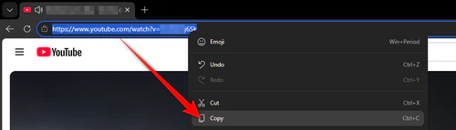 Copy the YouTube video URL