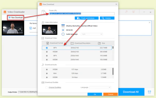 Paste and analyze the YouTube video link