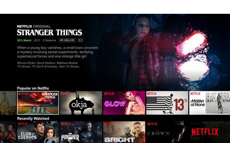 Stream Diverse Content on Netflix