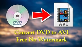 DVD to AVI Free