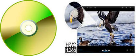 DVDs to H265 (HEVC)