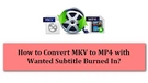 MKV to MP4 with Subtitles