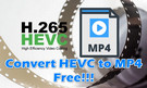 Convert HEVC to MP4