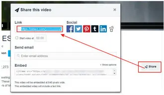 Copy the Vimeo Video Link