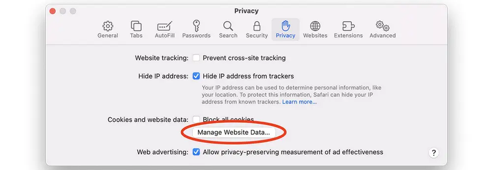 Clear Browsing Data in Safari