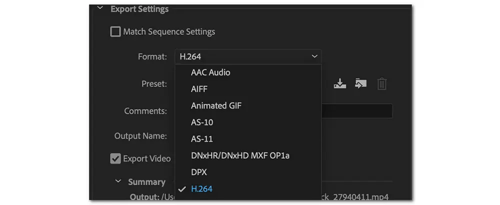 Export Video in a Different Format