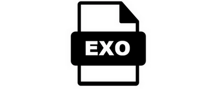 The .exo File