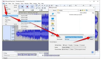 Extract Audio from MKV Audacity