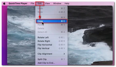 Save a Single Video Frame with QuickTime