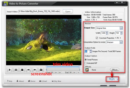 Extract Frames with WonderFox Video to Picture Converter